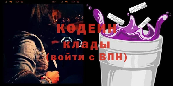 сатива Инта