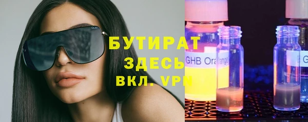 сатива Инта