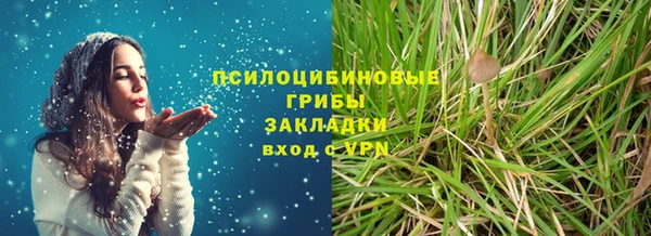 сатива Инта
