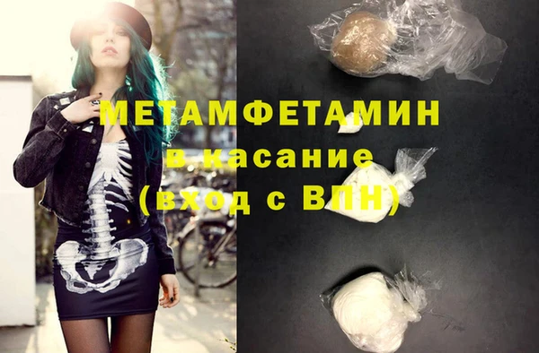 сатива Инта