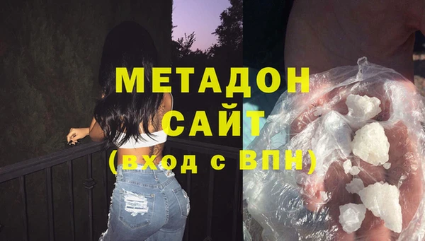 сатива Инта
