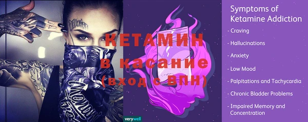 сатива Инта