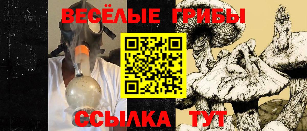 Йошкар-Ола  Галлюциногенные грибы GOLDEN TEACHER  Вход с VPN 